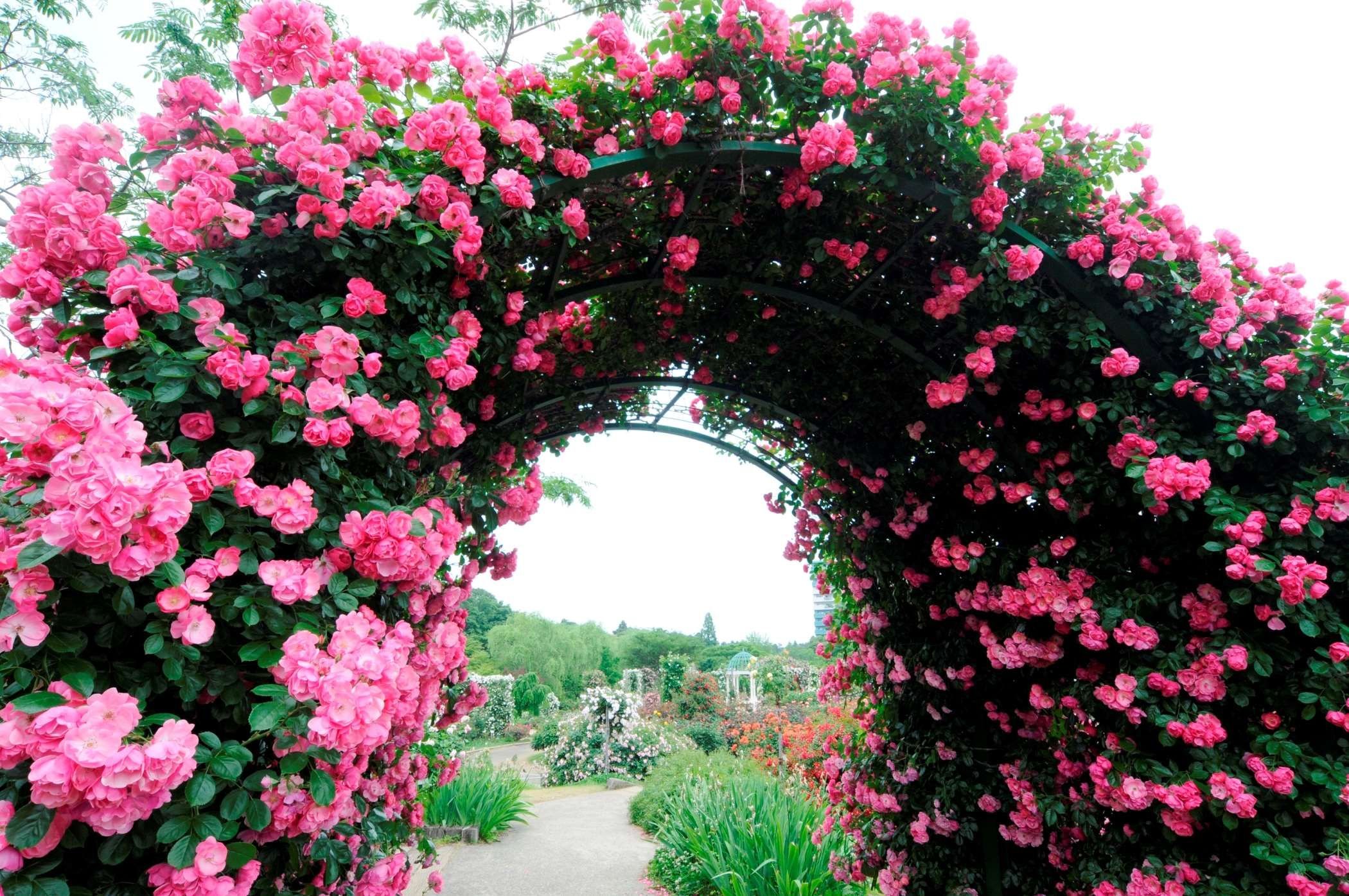 🌳 오마치 공원(오마치 코엔) 이미지 7